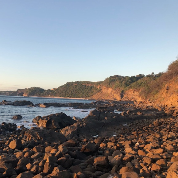 Meet your Posher, Isabel - Picture 1 of 1